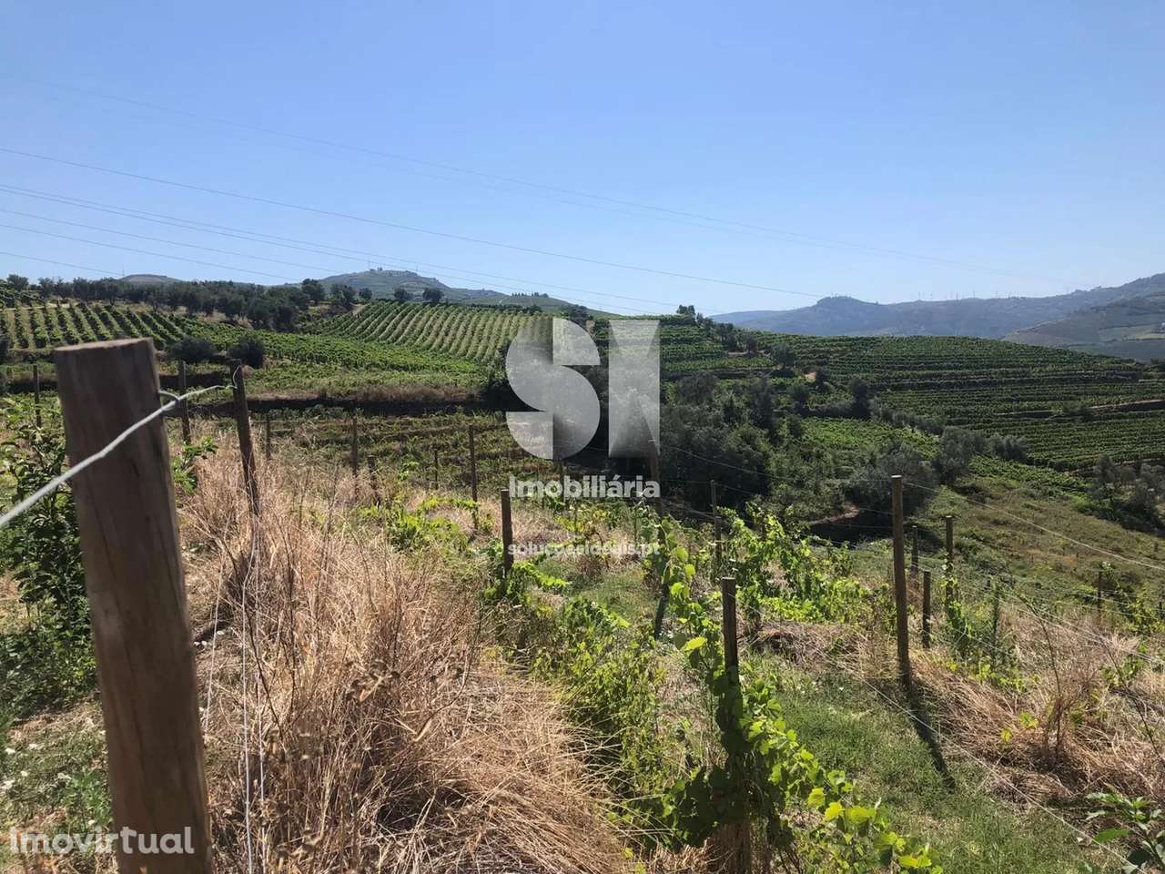 Quinta em Peso da régua - Grande imagem: 5/27