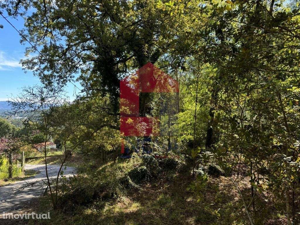 Terreno para construção, Mós - Grande imagem: 5/13