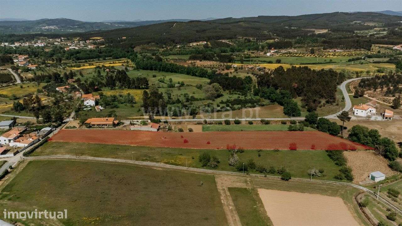 Terreno / Fundão, Enxames - Grande imagem: 4/9