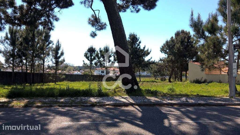Terreno  Venda em Marinha Grande,Marinha Grande - Grande imagem: 5/5
