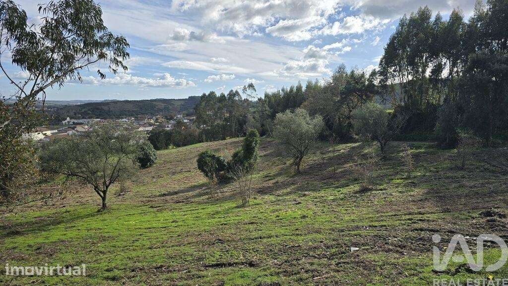Terreno para construção em Lamas e Cercal - Grande imagem: 5/13