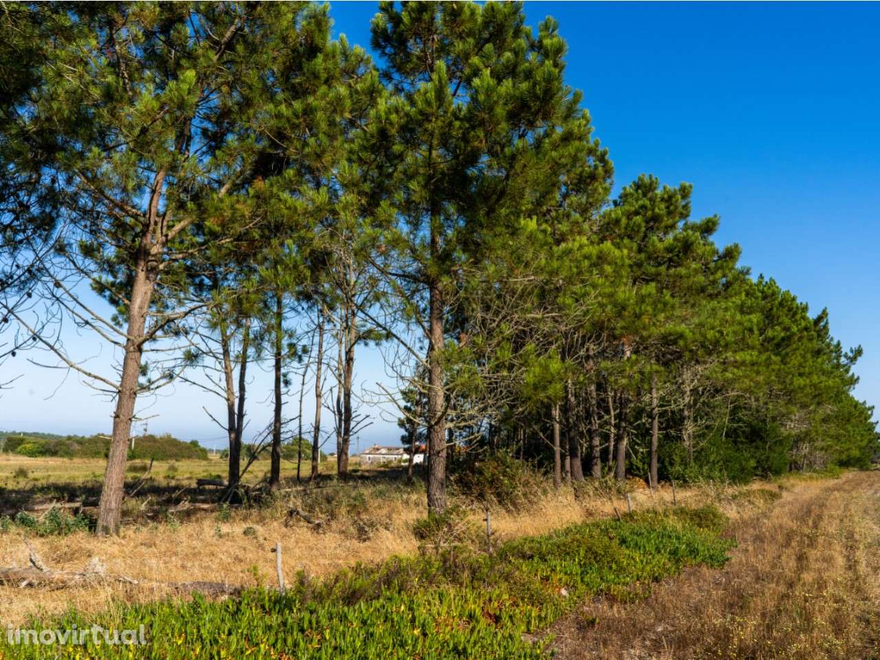 Quintinha T3 Sobranceira ao Mar - Grande imagem: 4/17