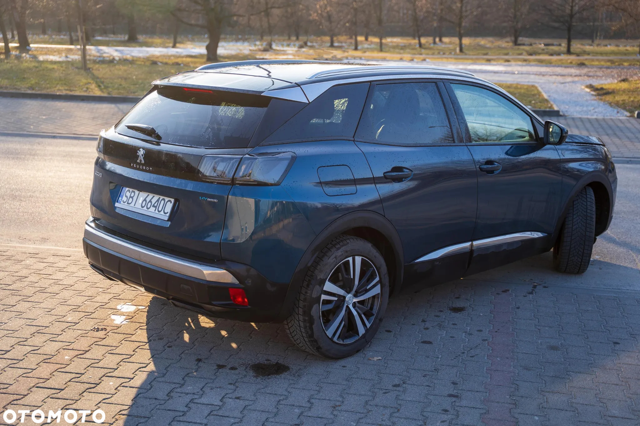 Peugeot 3008 - 18