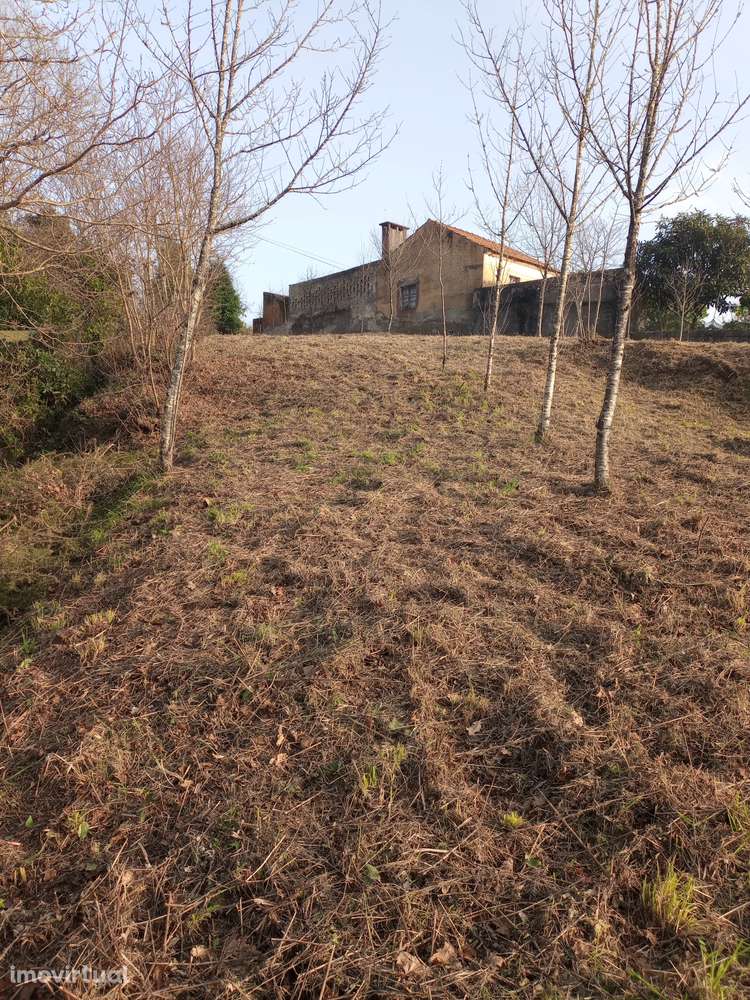 Terreno rústico urbanizavel - Grande imagem: 4/5
