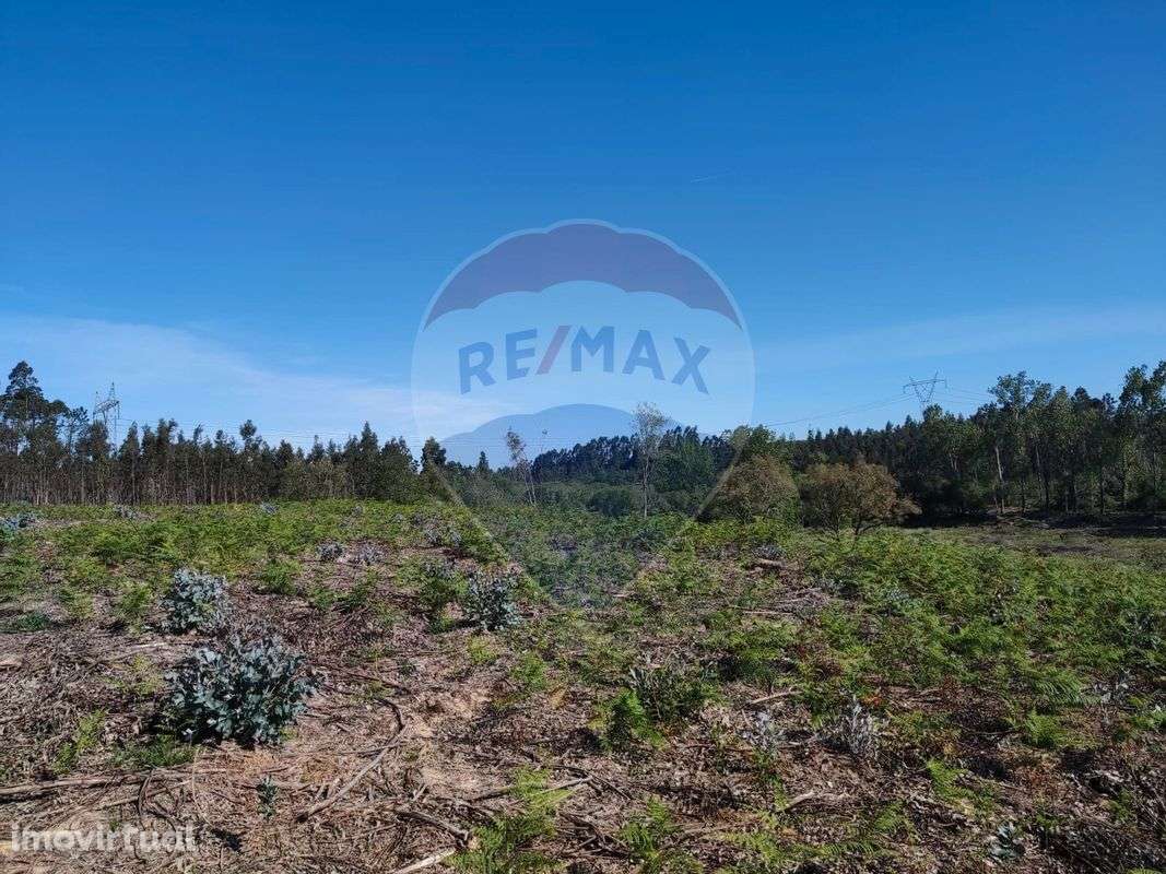 Terreno  para venda - Grande imagem: 3/9