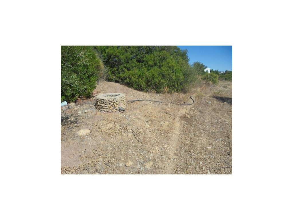 Terreno Rústico com armazém com 36 m2 em Moncarapacho, Olhão, Algarve - Grande imagem: 2/28