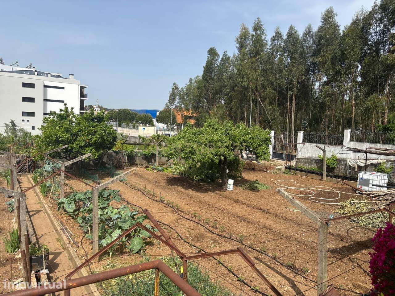 Terreno para Construção em Altura – Entroncamento - Grande imagem: 2/5