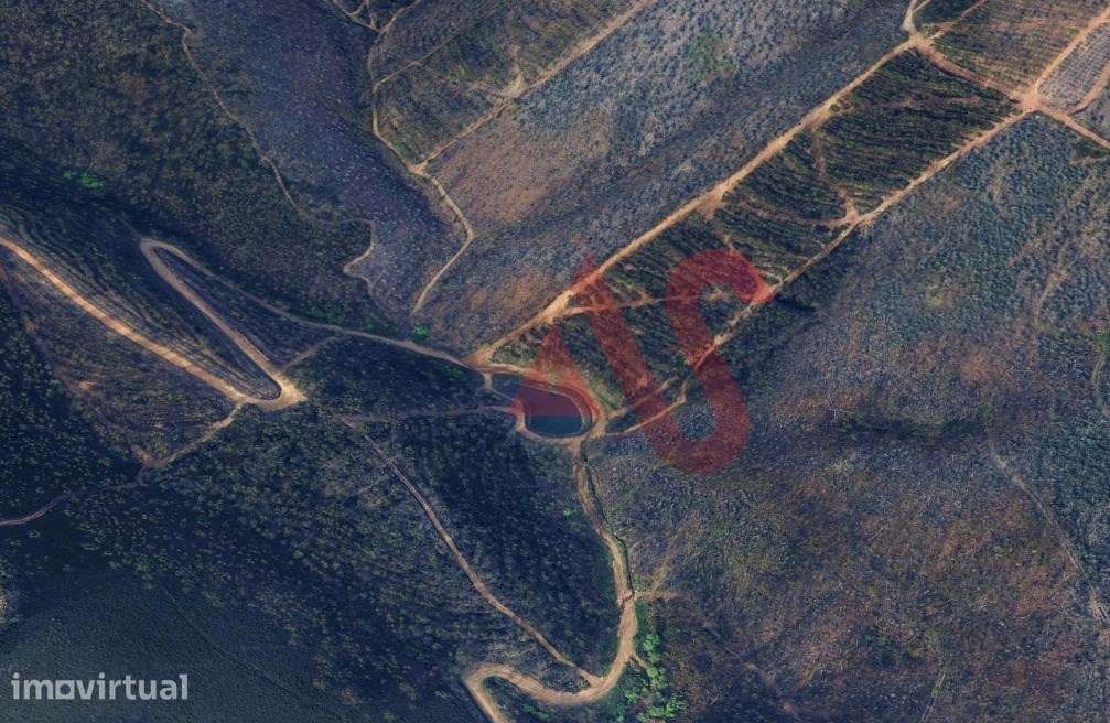 Terreno Florestal com 2300m2 em Silvares, Lousada - Grande imagem: 2/2