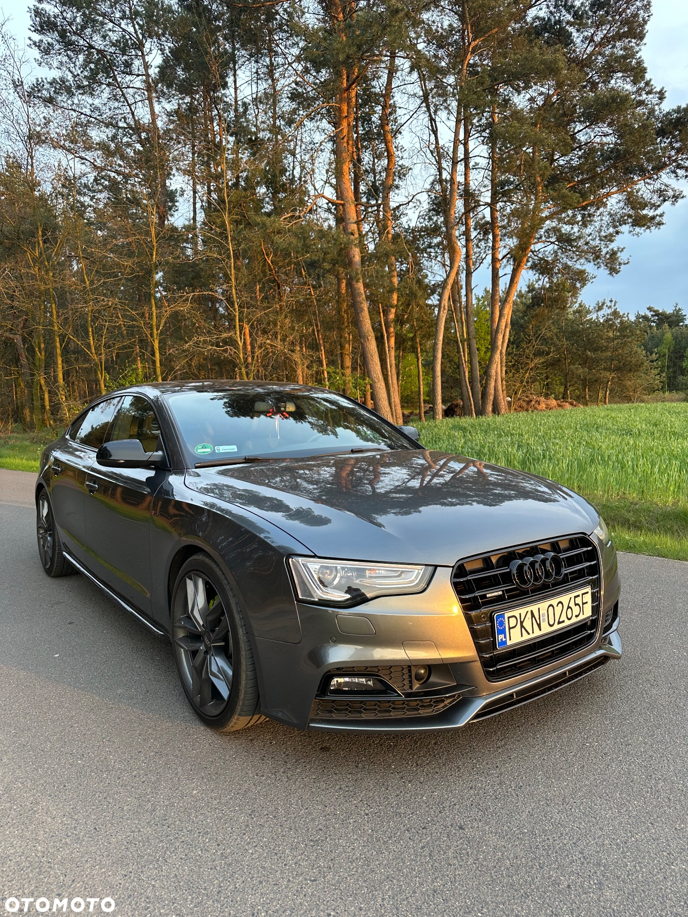 Audi A5 2.0 TDI Sportback (clean diesel) quat DPF S tro - 3