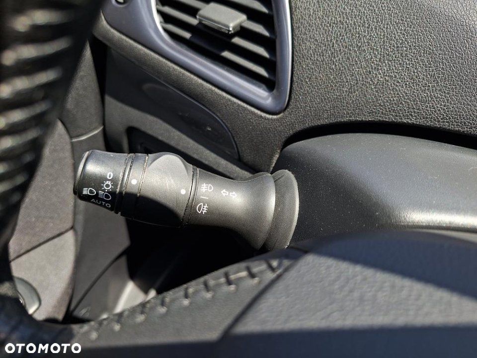 Renault Scenic - 20