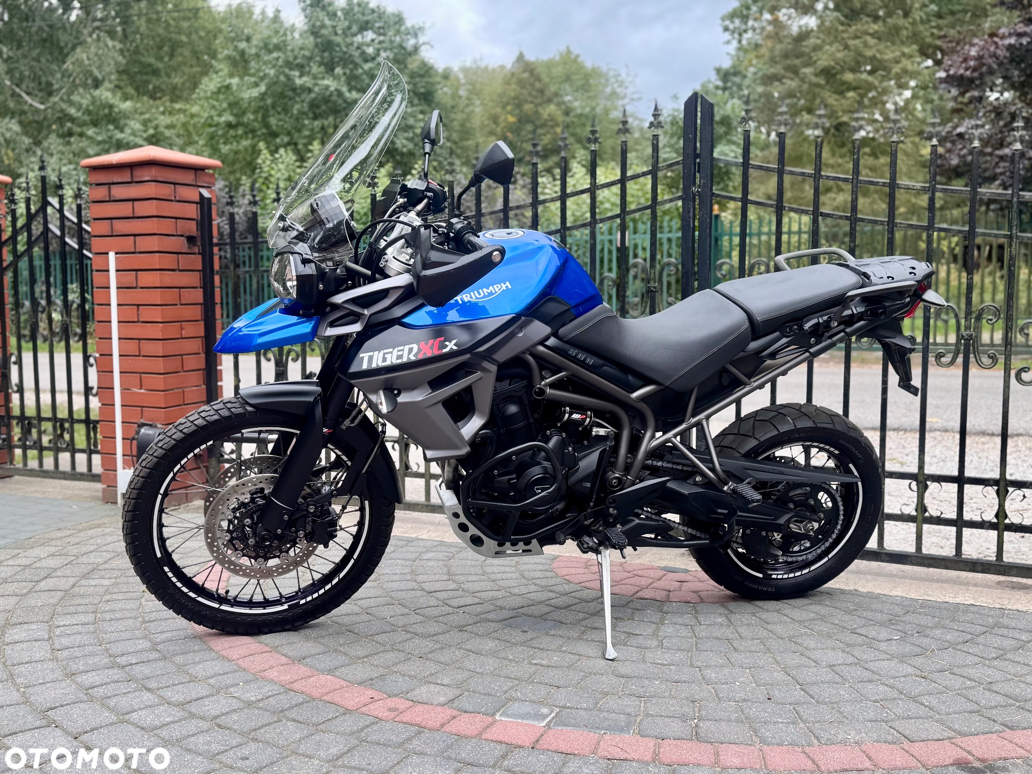 Triumph Tiger - 6