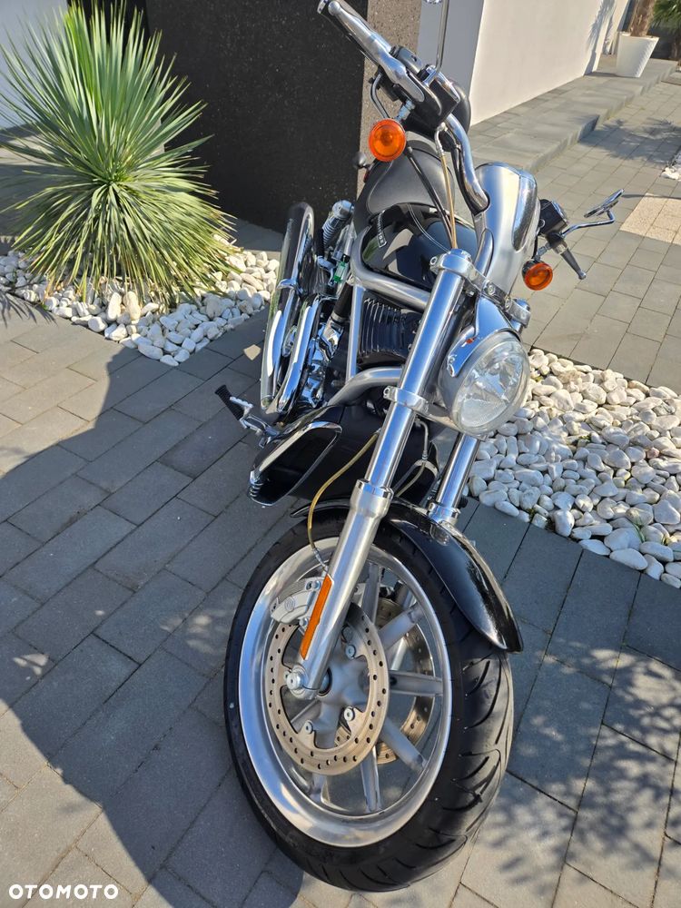 Harley-Davidson V-Rod Night Rod - 5