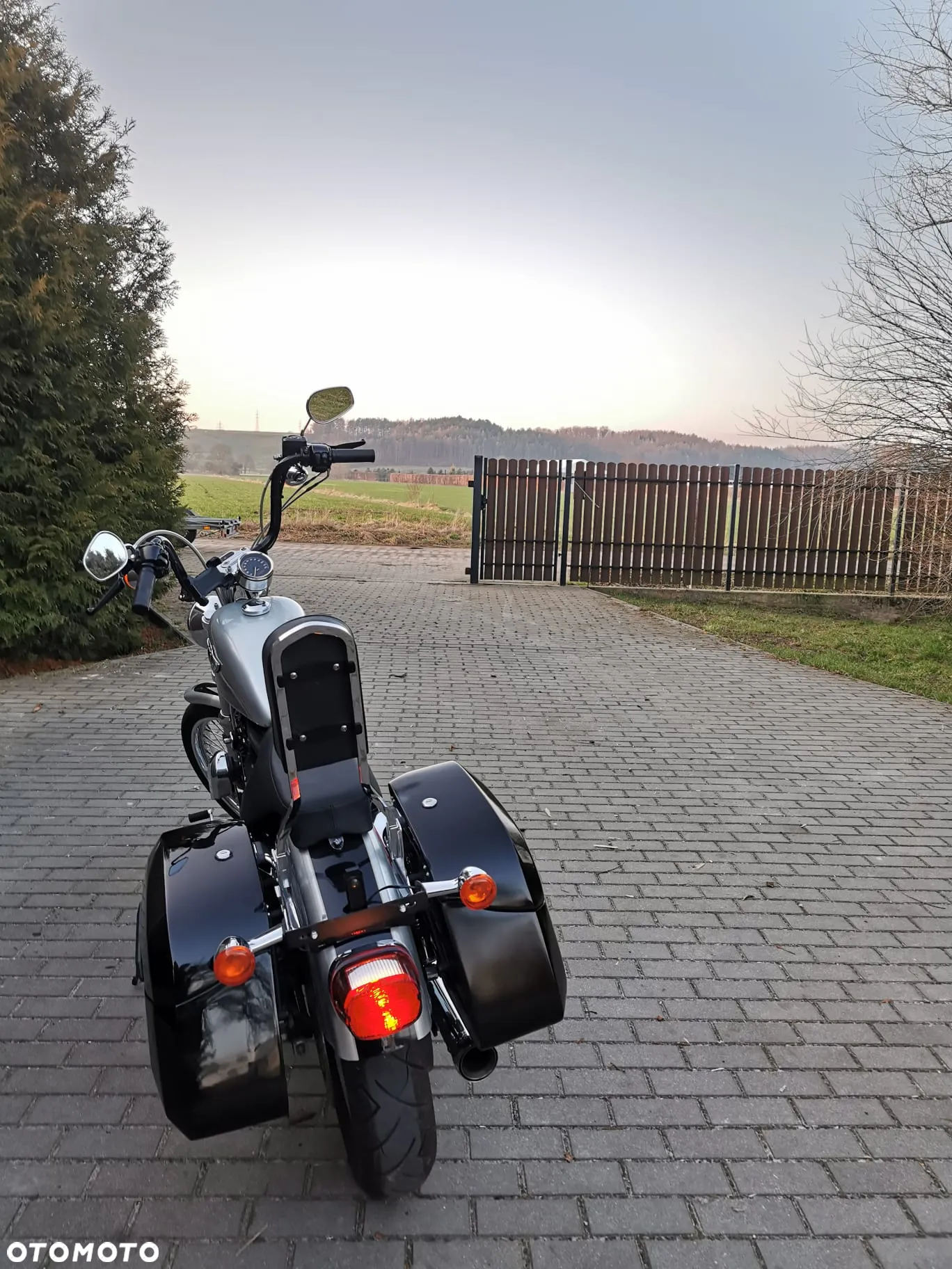 Harley-Davidson Sportster Custom 1200C - 5