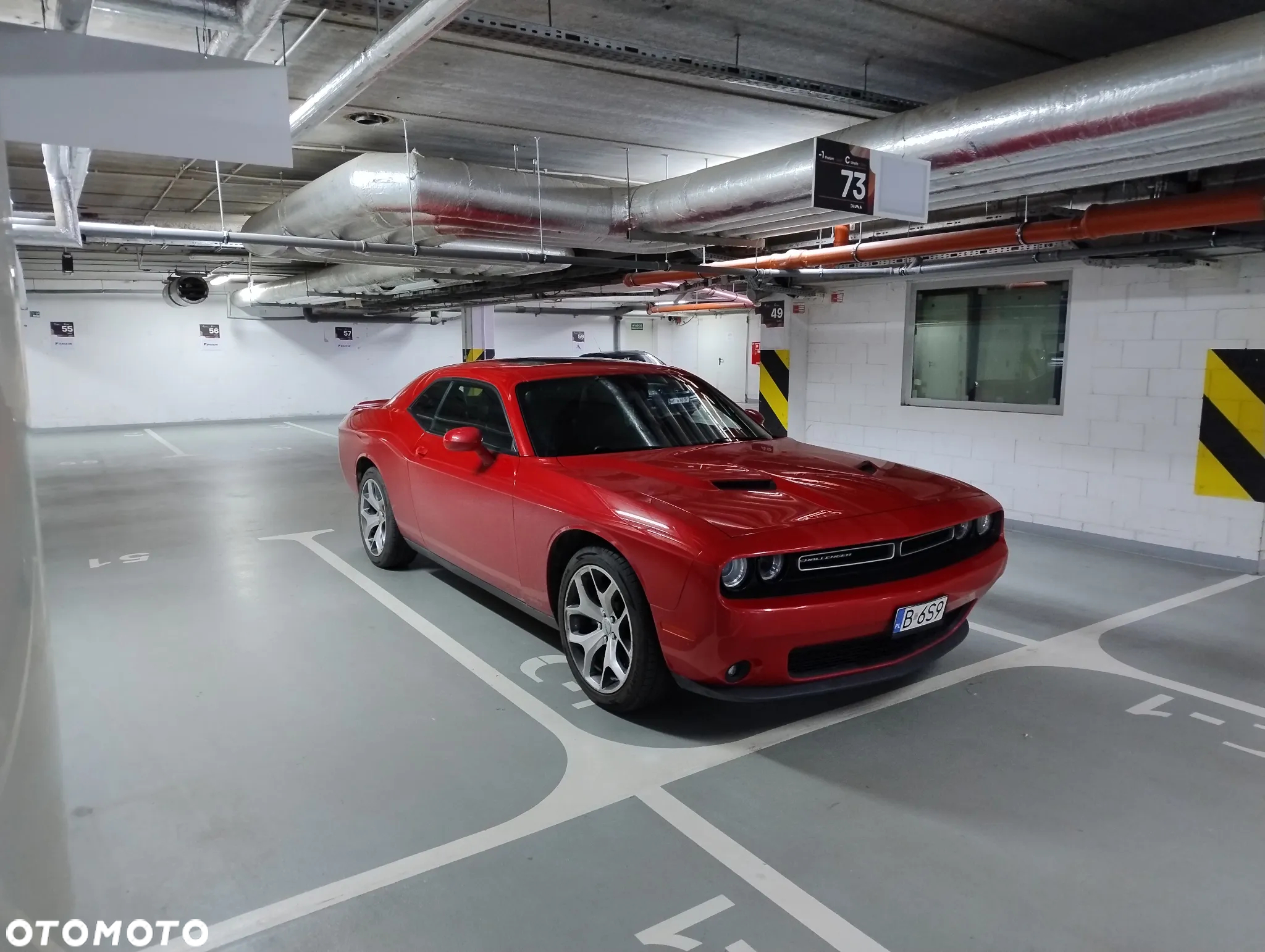 Dodge Challenger Automatik SXT Plus - 5