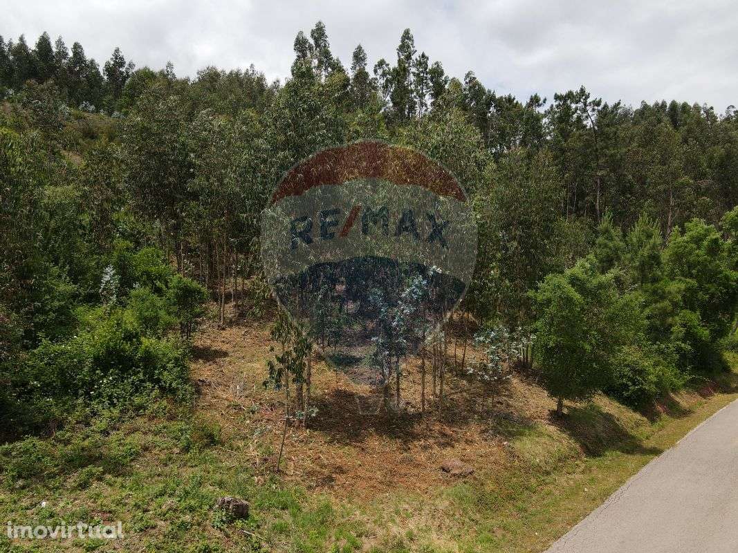 Terreno  para venda - Grande imagem: 3/6