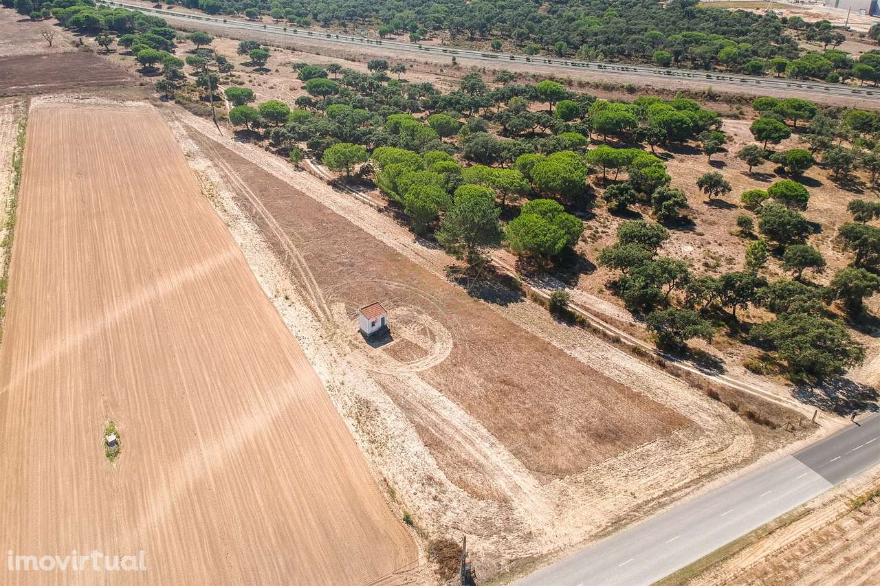 Terreno Para Construção  Venda em Benavente,Benavente - Grande imagem: 5/8