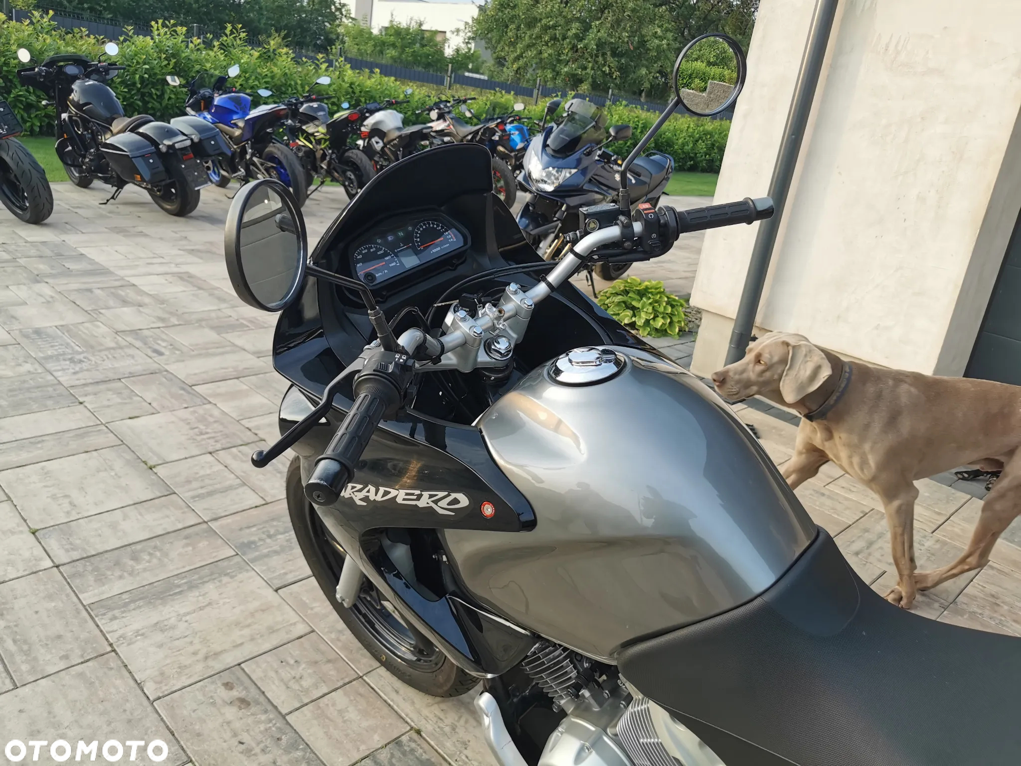 Honda Varadero - 18