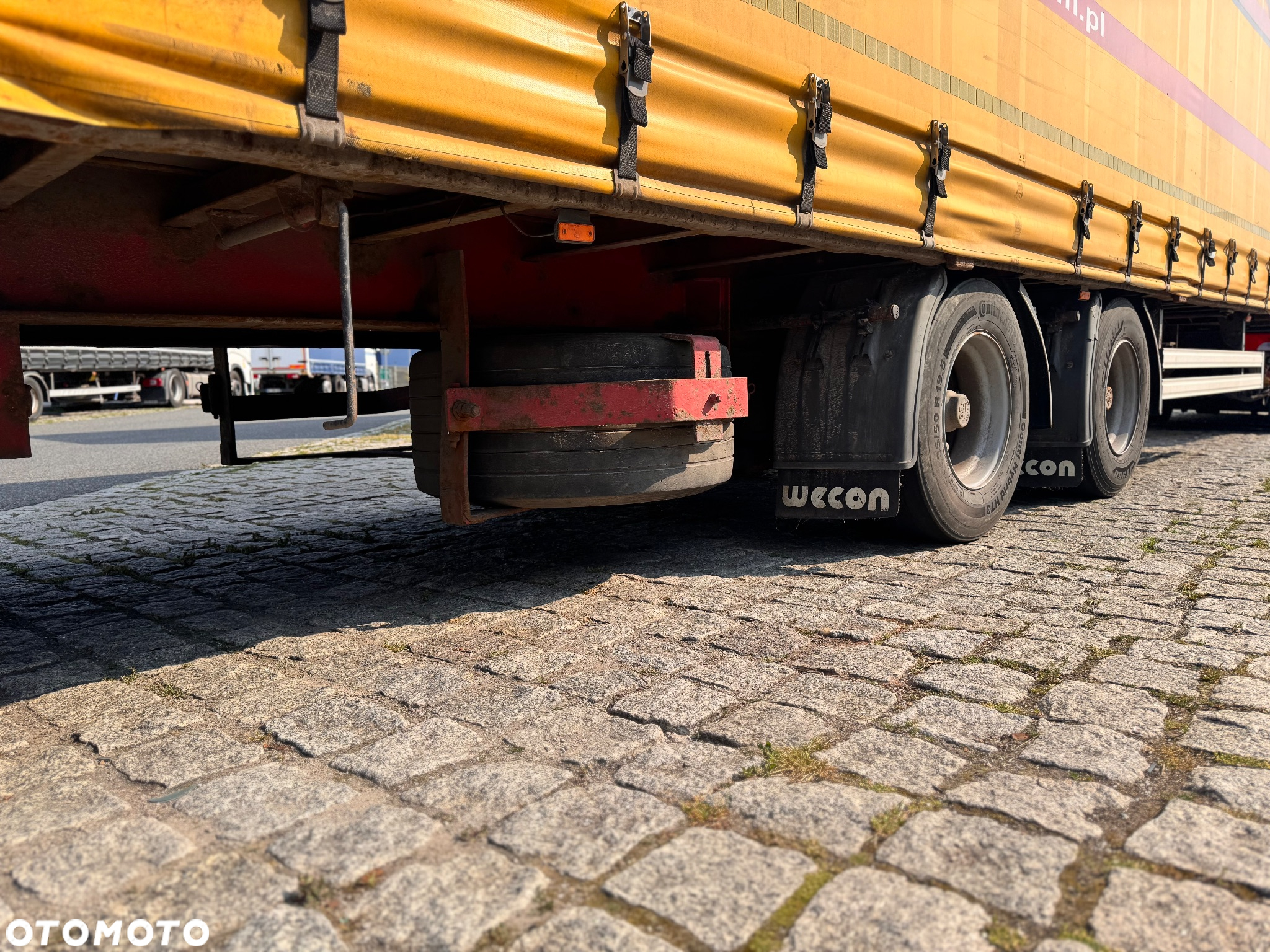 Sommer Sss - 8