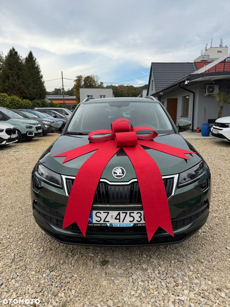 Skoda Karoq 2021 photo 2