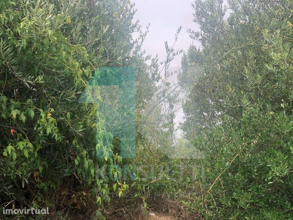 Terreno|Estoril - Grande imagem: 2/3