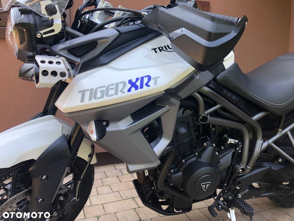 Triumph Tiger - 11