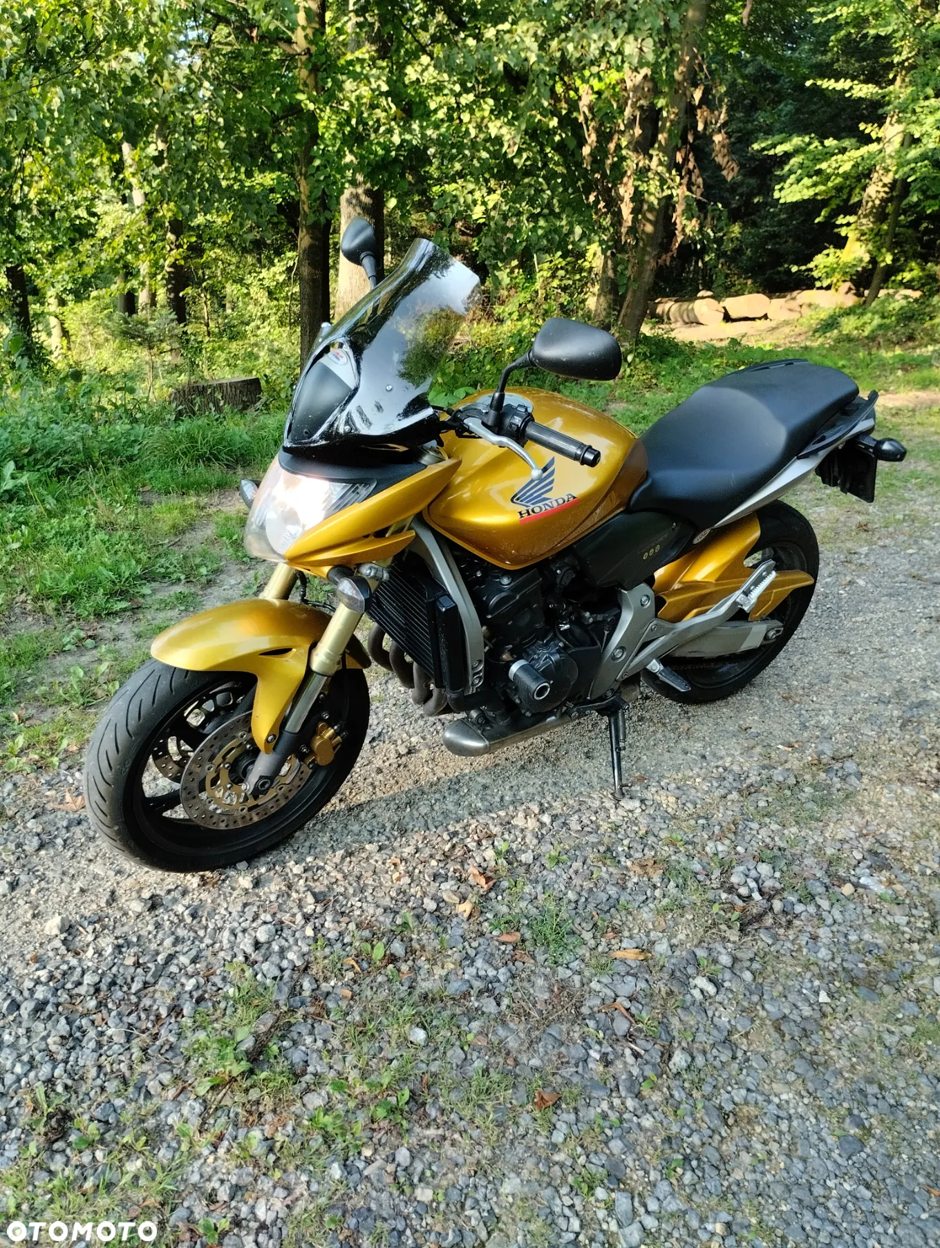 Honda Hornet - 10