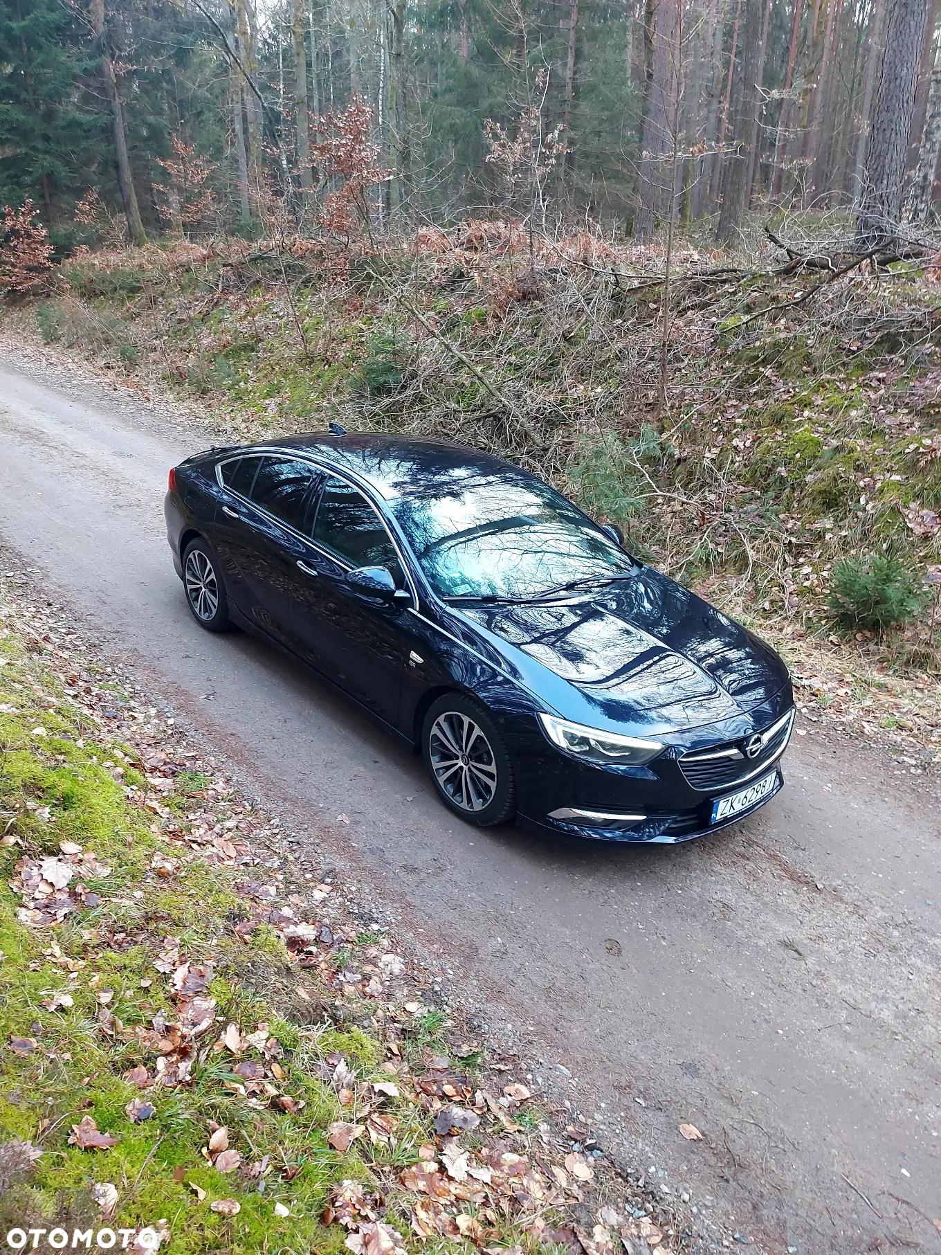 Opel Insignia 2.0 T 4x4 Exclusive S&S - 11