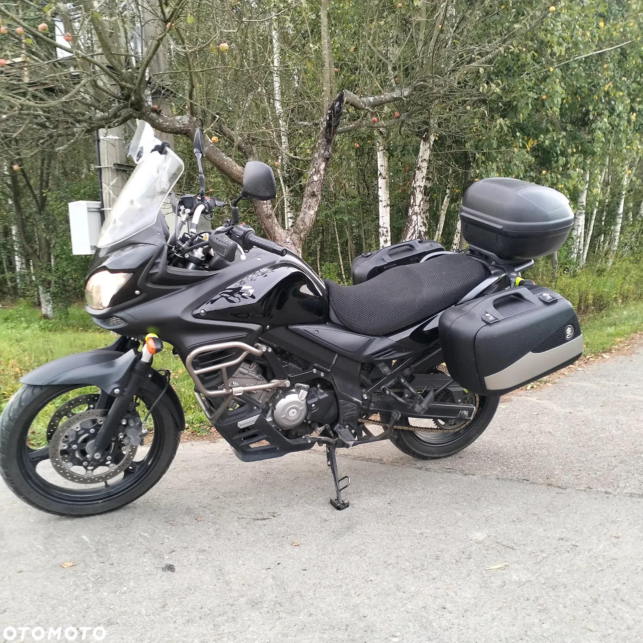 Suzuki V-STROM - 4