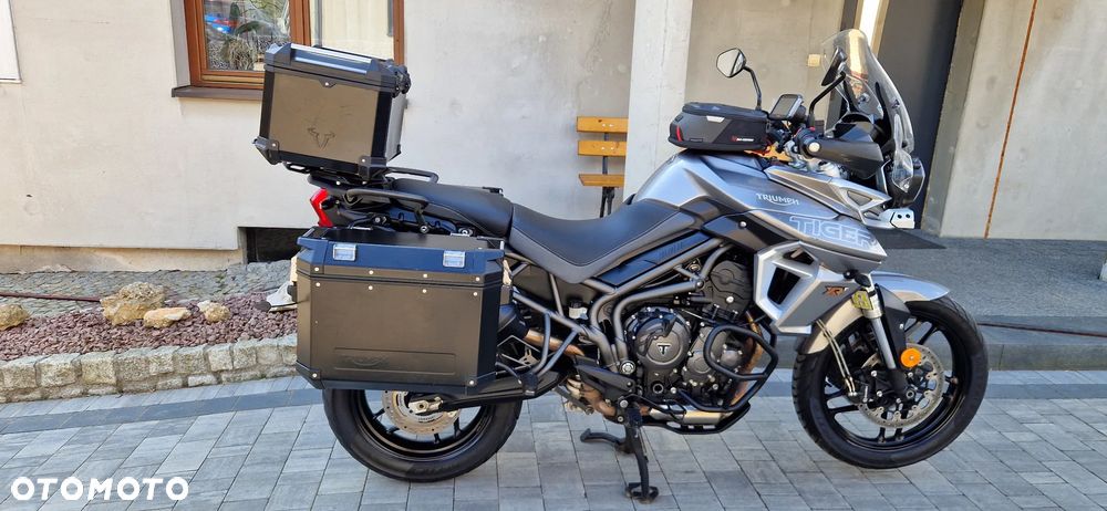 Triumph Tiger - 15