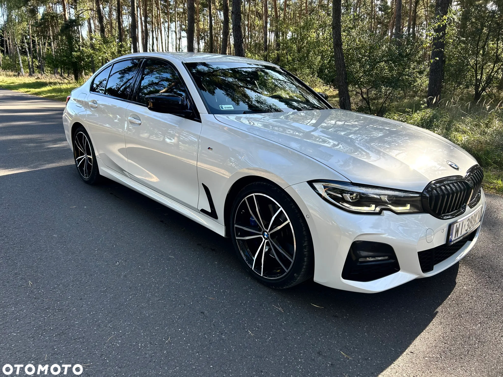 BMW Seria 3 318i M Sport - 2