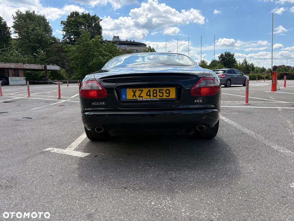 Jaguar XK - 19