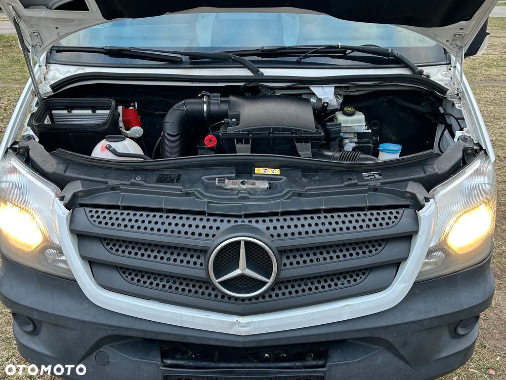 Mercedes-Benz Sprinter 316 cdi automat chłodnia mrożnia Thermoking - 19