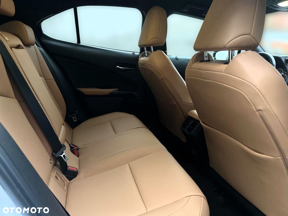 Lexus UX 250h GPF F Sport Design 2WD - 16