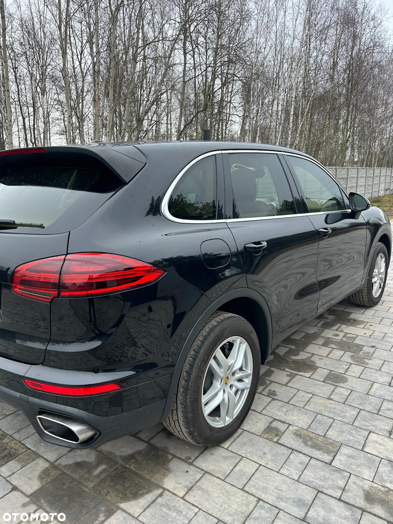 Porsche Cayenne Standard - 10