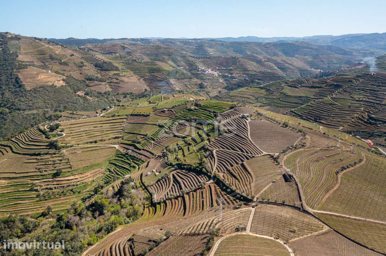 Terreno com 9 121 m2 situado em S. Marta de Penaguião - Grande imagem: 5/15