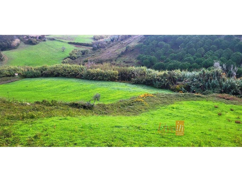 Terreno Rústico com 9.600 m2 em Vila Franca do Rosário - Grande imagem: 3/11