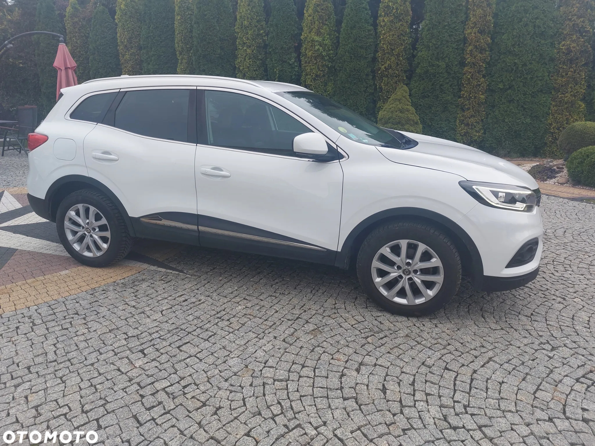 Renault Kadjar BLUE dCi 115 EDC BUSINESS EDITION - 4