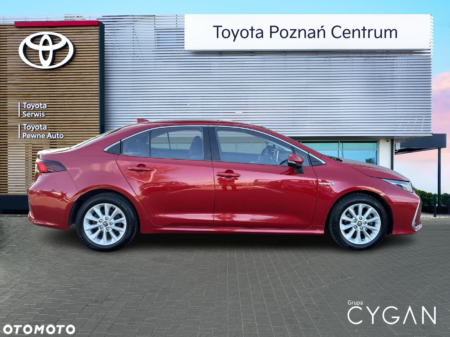 Toyota Corolla - 6
