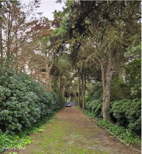 Lote exclusivo em condomínio privado na Aldeia do Juso, Cascais - Grande imagem: 5/13
