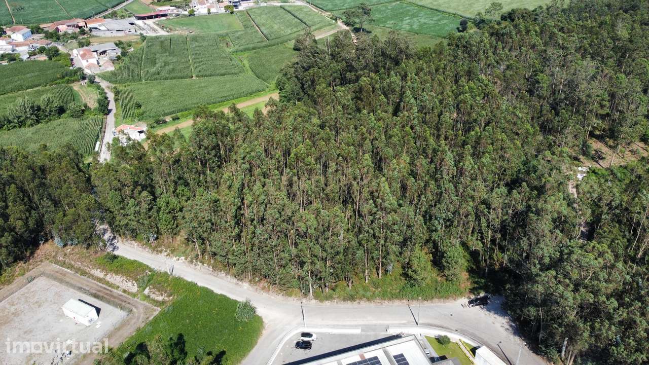 Terreno Rustico em Mosteiró - Grande imagem: 3/9
