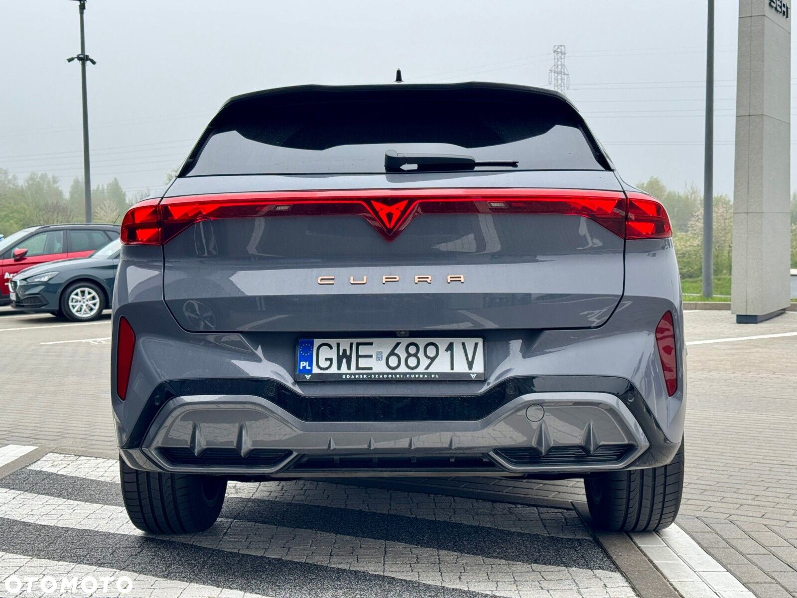Cupra Terramar - 9