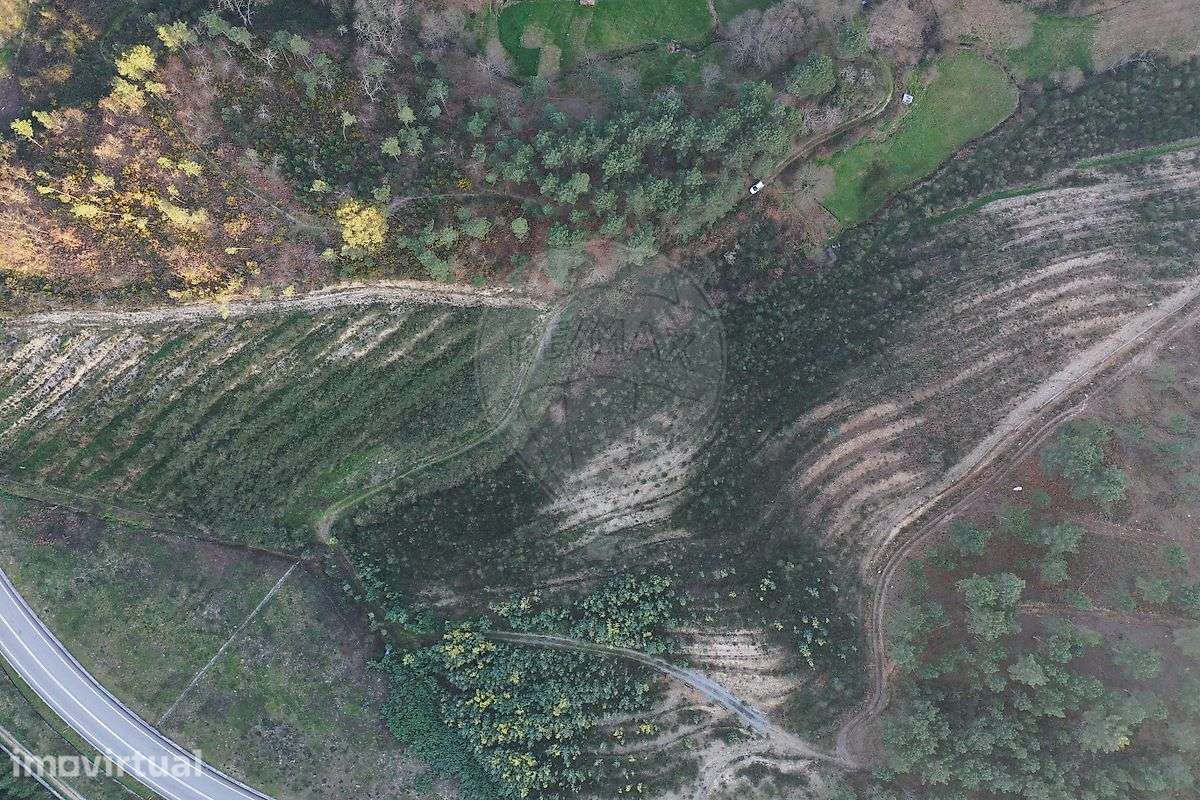 Quinta  para venda - Grande imagem: 4/14