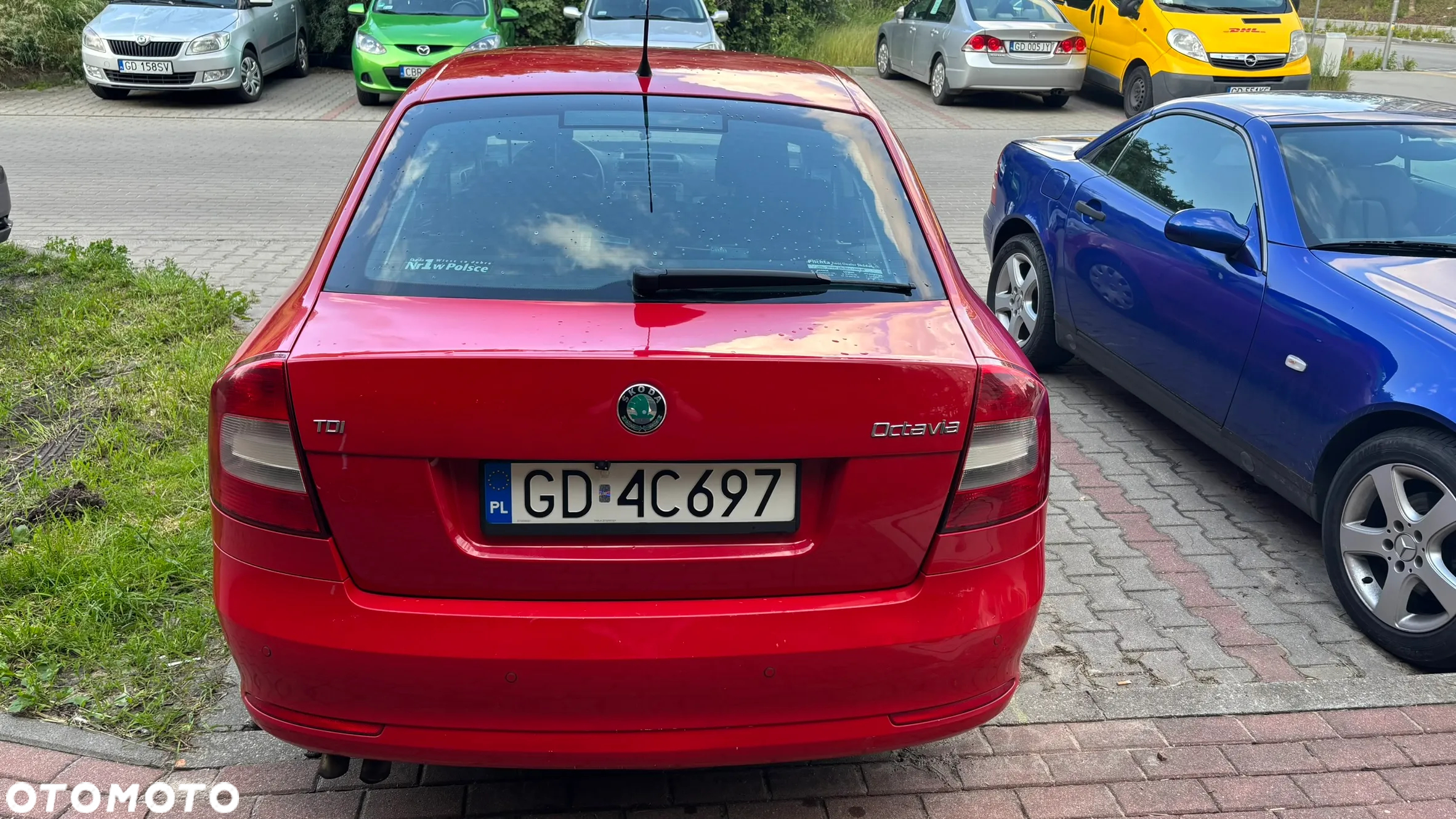Skoda Octavia 1.9 TDI Mint - 8
