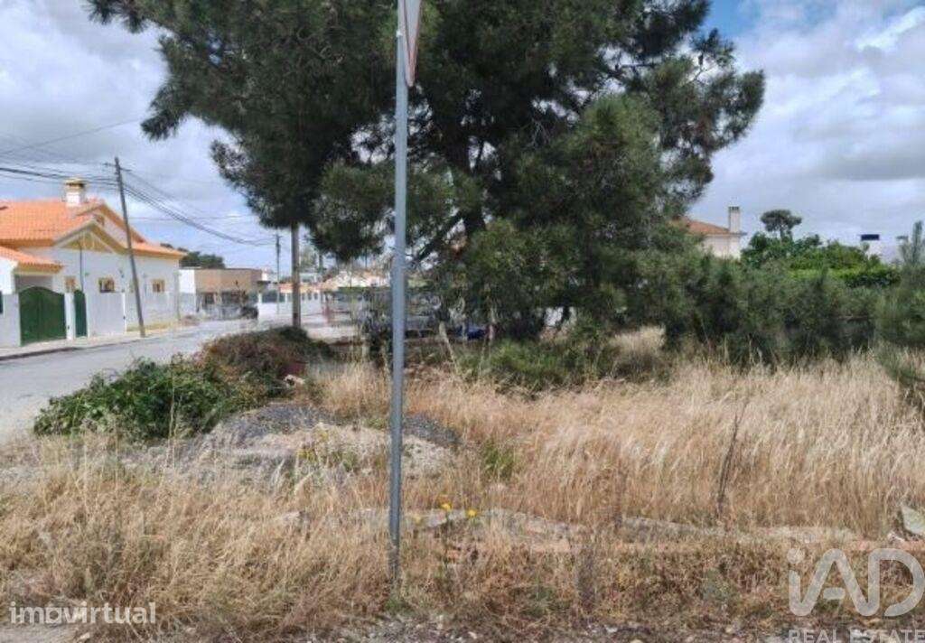 Terreno em Azeitão - Grande imagem: 3/5