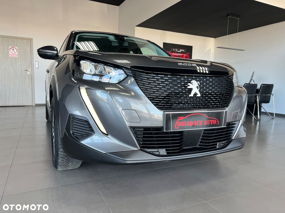 Peugeot 2008 - 10