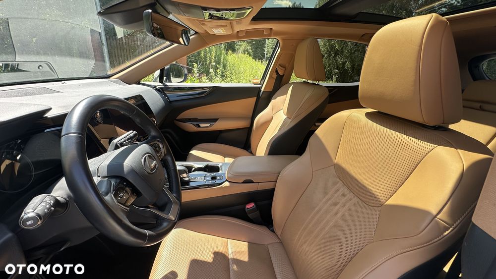 Lexus NX 350h Prestige AWD - 13