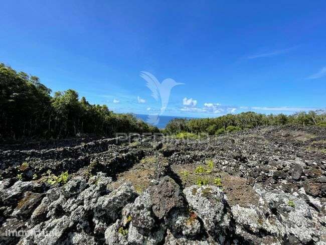 Terreno à venda em Candelária, Madalena do Pico - Grande imagem: 2/13