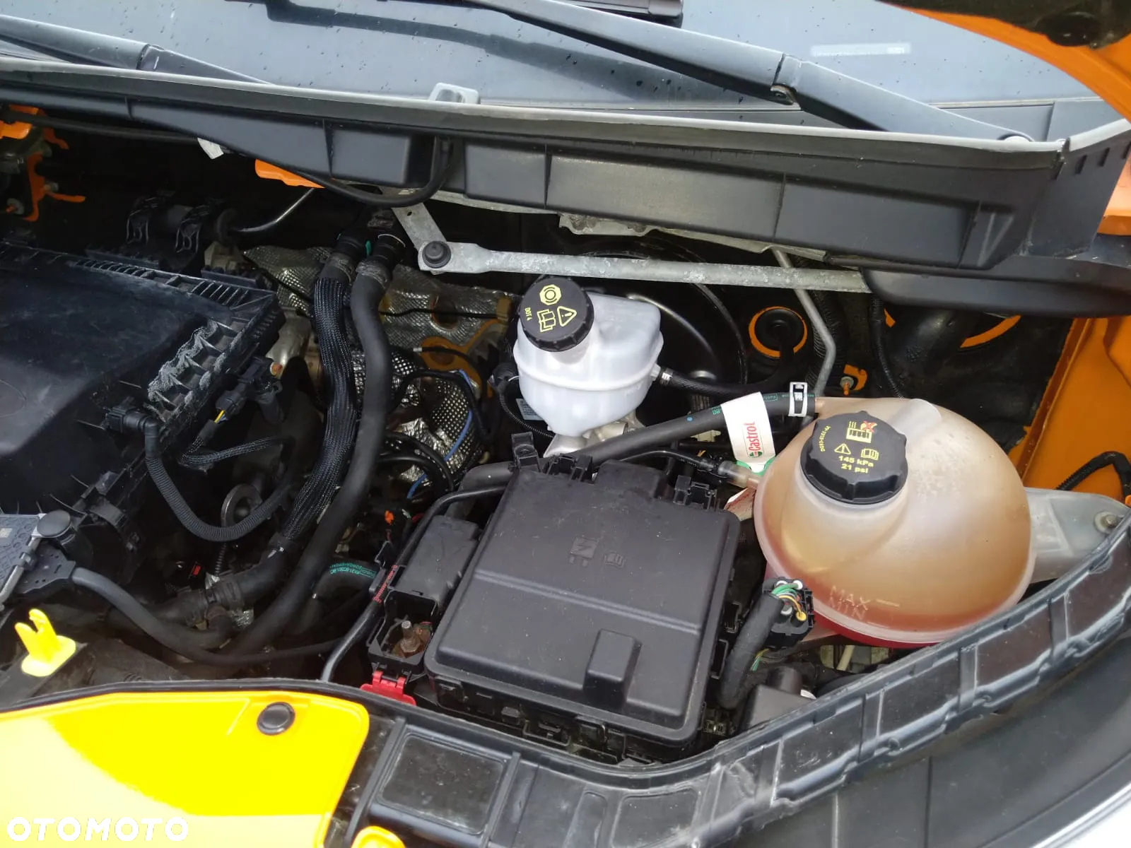 Ford Transit - 10