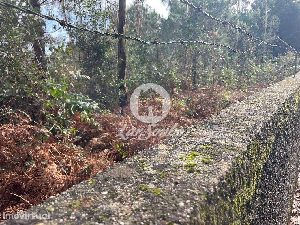 Terreno Rústico de 25000m² em Canidelo, Vila do Conde - Grande imagem: 4/4