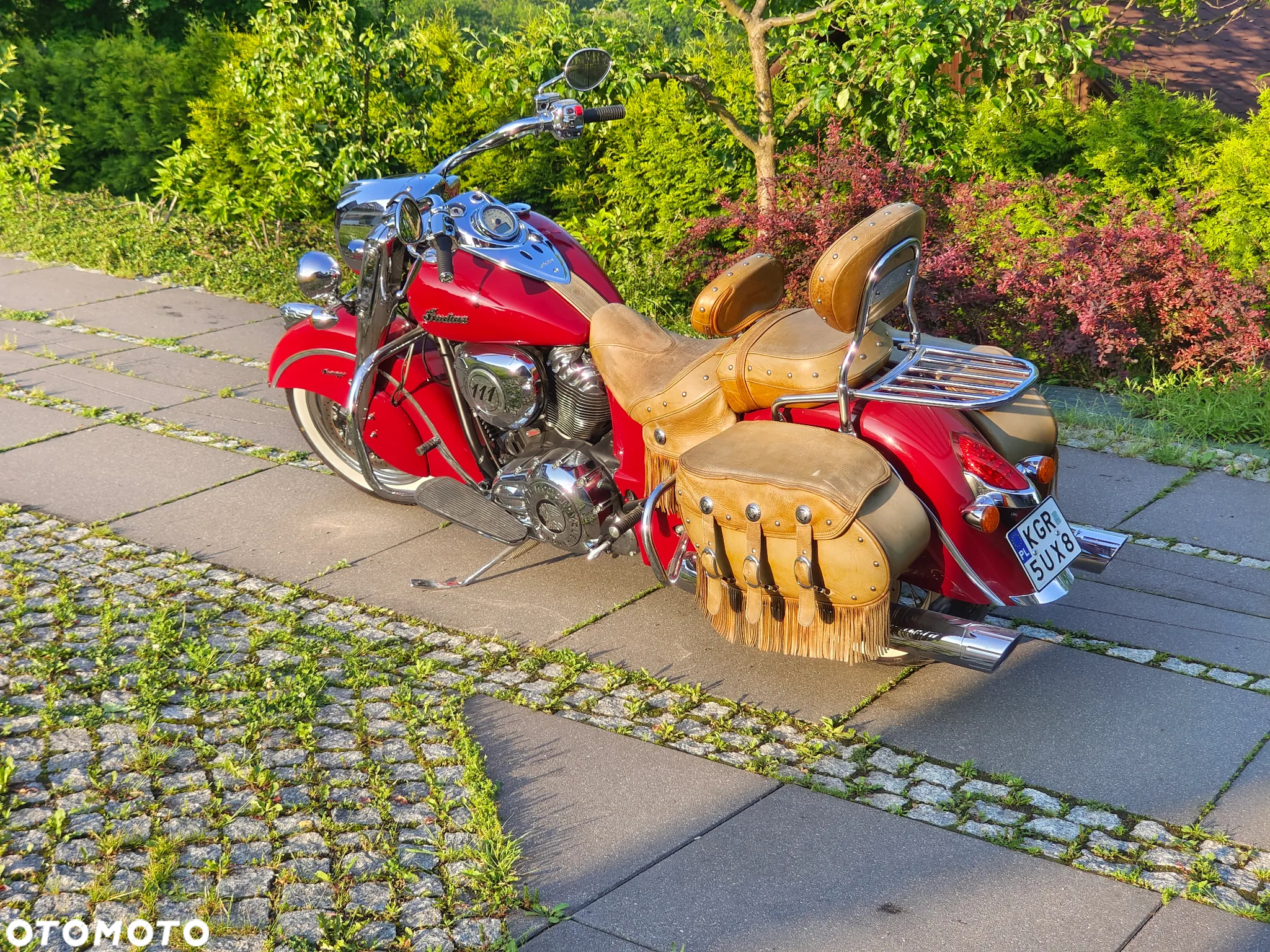 Indian Chief - 5